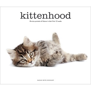 Kittenhood