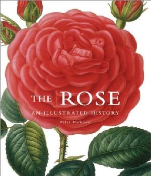 The Rose,  an Illustrated History