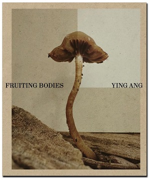 Ying Ang - Fruiting Bodies