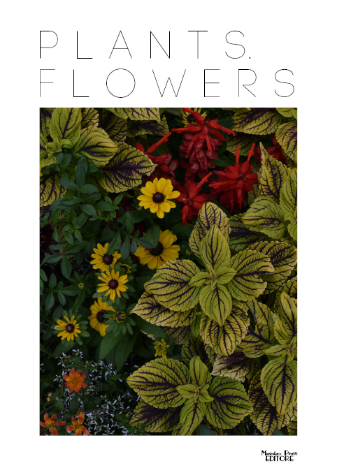 Plants. Flowers